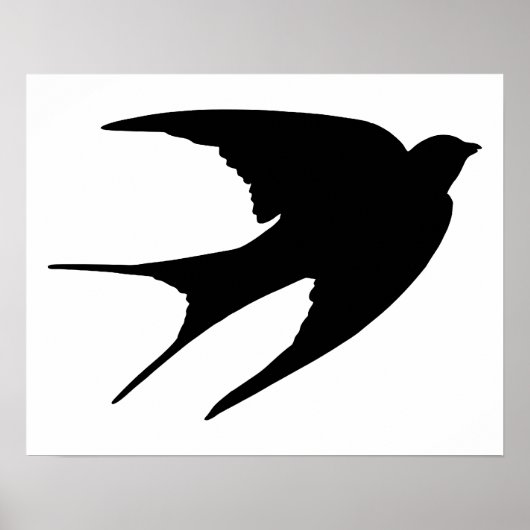 Barn Swallow Poster (Voorkant)
