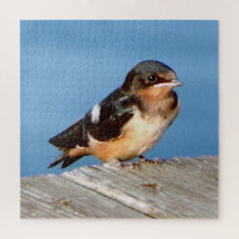 Barn Swallow puzzel