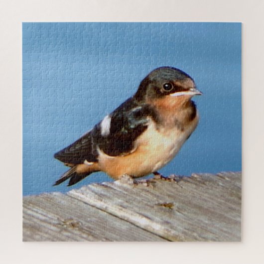 Barn Swallow puzzel (Verticaal)