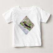 Barn Swallow-reeks (Voorkant)