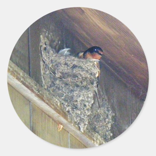 Barn Swallow-reeks Ronde Sticker (Voorkant)