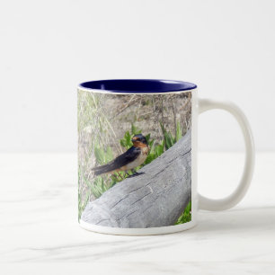Barn Swallow-reeks Tweekleurige Koffiemok