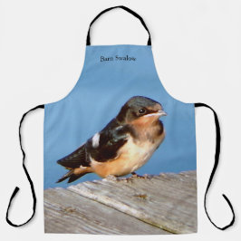 Barn Swallow schort