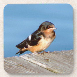 Barn Swallow set van 6 onderzetters