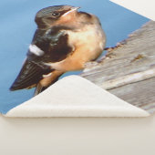 Barn Swallow sherpa blanket Sherpa Deken (3/4)