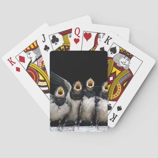 Barn Swallow Singing Pokerkaarten (Achterkant)