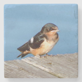 Barn Swallow stone onderzetter