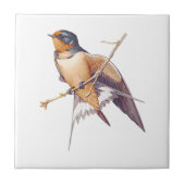 Barn Swallow Tile. Tegeltje (Voorkant)