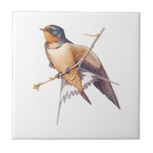 Barn Swallow Tile.