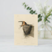 Barn Swallow van Audubon's Birds of America Briefkaart (Staand voorkant)