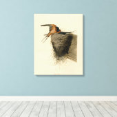 Barn Swallow van Audubon's Birds of America Canvas Afdruk (Insitu (Houten vloer))