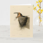 Barn Swallow van Audubon's Birds of America Kaart (Gele Bloem)