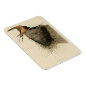 Barn Swallow van Audubon's Birds of America Magneet (Rechterzijde)