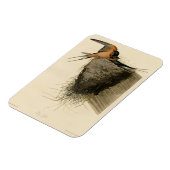 Barn Swallow van Audubon's Birds of America Magneet (Linkerzijde)