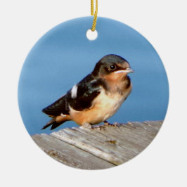 Barn Swallow-versiering Keramisch Ornament