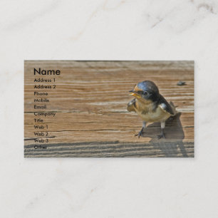 Barn Swallow Visitekaartje
