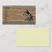 Barn Swallow Visitekaartje (Voorkant / Achterkant)