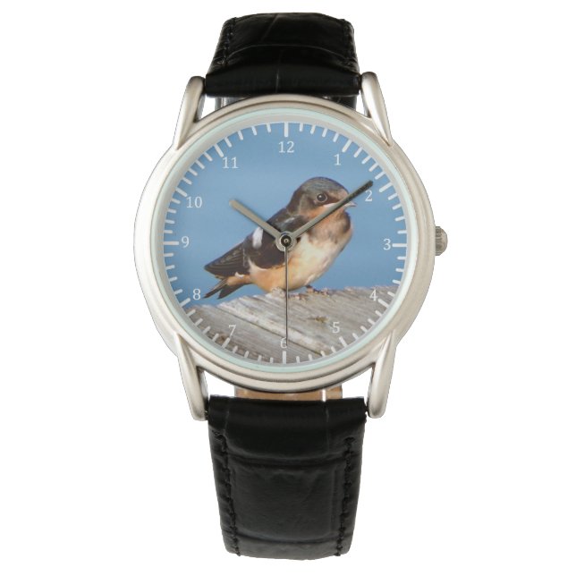 Barn Swallow watch Horloge (Voorkant)