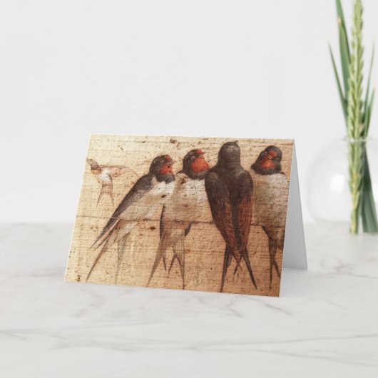 Barn Swallows, Birthday Kaart (Voorkant)