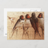 Barn Swallows Briefkaart (Voorkant / Achterkant)