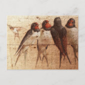 Barn Swallows Briefkaart (Voorkant)