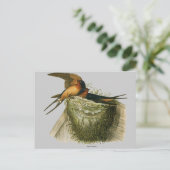 Barn Swallows Briefkaart (Staand voorkant)