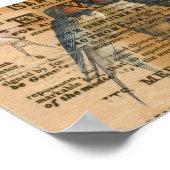 Barn Swallows Poster (Hoek)