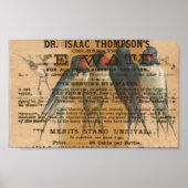 Barn Swallows  Poster (Voorkant)