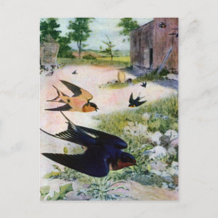Barn Swallows vliegen rond oude gebouwen Briefkaart
