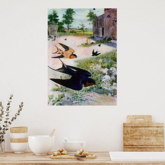 Barn Swallows vliegen rond oude gebouwen Poster (Keuken)
