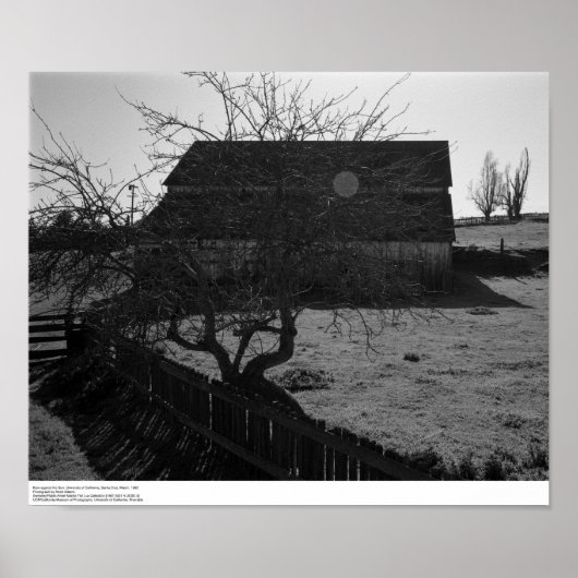 Barn, tegen Sun (flare spot), maart 1962 Poster (Voorkant)