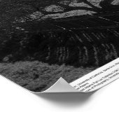 Barn, tegen Sun (flare spot), maart 1962 Poster (Hoek)