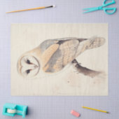 Barn Uil Decoupage Vogelschildering Art Tissuepapier (Craft)