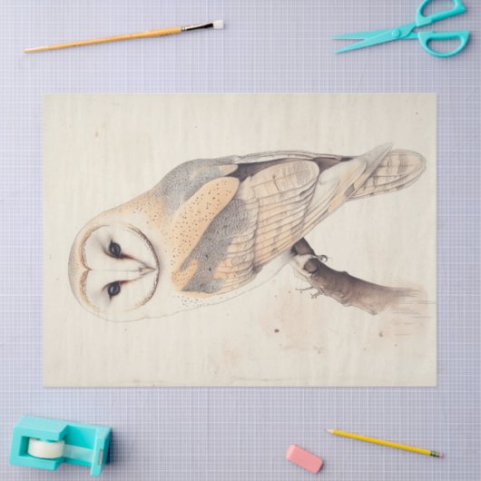 Barn Uil  Decoupage Vogelschildering Art Tissuepapier (Craft)