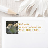 Barn Uil retour adres label (Insitu)