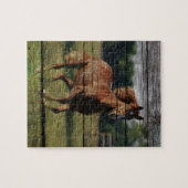 Barn Woodgrain Country Ranch Galloping Brown Horse Legpuzzel (Horizontaal)