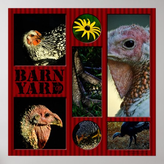 Barn Yard Montage Poster (Voorkant)