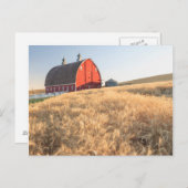 Barn, zomertarwevelden nabij Spraag, oostelijk dee Briefkaart (Voorkant / Achterkant)