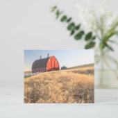 Barn, zomertarwevelden nabij Spraag, oostelijk dee Briefkaart (Staand voorkant)