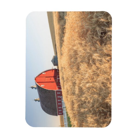 Barn, zomertarwevelden nabij Spraag, oostelijk dee Magneet (Verticaal)