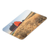 Barn, zomertarwevelden nabij Spraag, oostelijk dee Magneet (Linkerzijde)