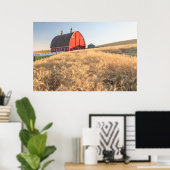 Barn, zomertarwevelden nabij Spraag, oostelijk dee Poster (Thuiskantoor)