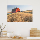 Barn, zomertarwevelden nabij Spraag, oostelijk dee Poster (Keuken)