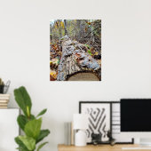 Barnacle Boomstam Poster (Thuiskantoor)