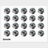 Barnacle Duet Ronde Sticker (Vel)