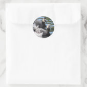 Barnacle Duet Ronde Sticker (Tas)