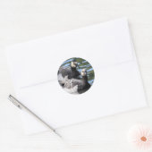 Barnacle Duet Ronde Sticker (Envelop)