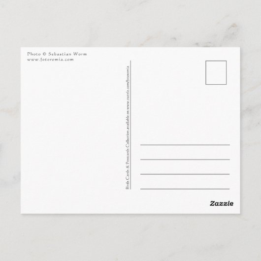 Barnacle Geese Briefkaart (Achterkant)