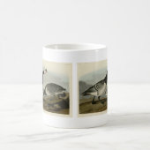 Barnacle Goose - van de Amerikaanse vogels van Aud Koffiemok (Center)