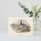 Barnacle Goose van Joseph Wolf Briefkaart (Staand voorkant)
